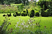 TOPIARY CHICKENS AND EGGS