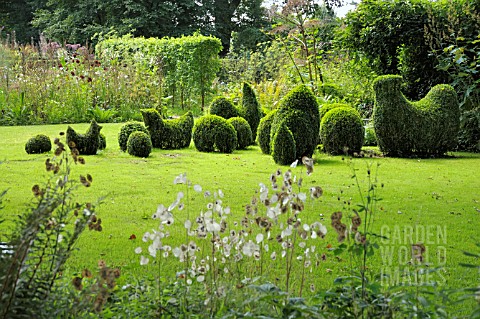 TOPIARY_CHICKENS_AND_EGGS