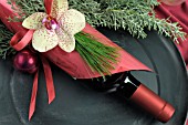 RED WINE GIFT & PHALAENOPSIS