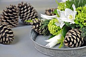 ARRANGEMENT WITH EUCHARIS, HELLEBORES, TULIPA, VIBURNUM OPULUS AND CUPRESSUS MACROCARPA GOLDCREST, PINUS STROBUS