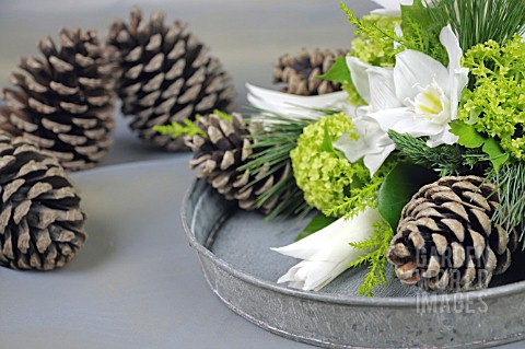 ARRANGEMENT_WITH_EUCHARIS_HELLEBORES_TULIPA_VIBURNUM_OPULUS_AND_CUPRESSUS_MACROCARPA_GOLDCREST_PINUS