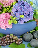 HYDRANGEA MACROPHYLLA ARRANGEMENT