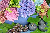 HYDRANGEA MACROPHYLLA ARRANGEMENT