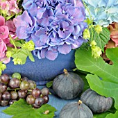 HYDRANGEA MACROPHYLLA ARRANGEMENT