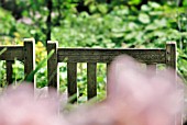 WOODEN CHAIRS