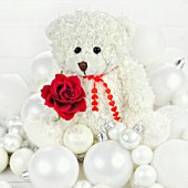 WHITE BEAR WITH RED ROSE