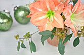 HIPPEASTRUM & EUCALYPTUS ARRANGEMENT