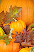 PUMPKINS AND AUTUMN LEAVES