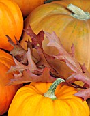 PUMPKINS AND AUTUMN LEAVES