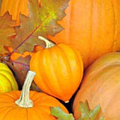 PUMPKINS AND AUTUMN LEAVES