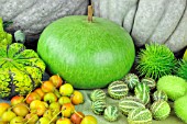 PUMPKINS AND AUTUMN FRUITS