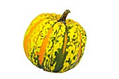 GOURD