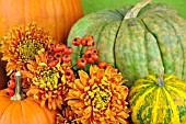 PUMPKINS AND CHRYSANTHEMUMS