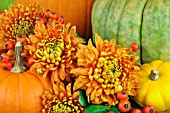 PUMPKINS AND CHRYSANTHEMUMS