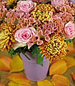 CHRYSANTHEMUMS AND CELOSIA ARRANGEMENT