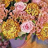 CHRYSANTHEMUMS AND CELOSIA ARRANGEMENT