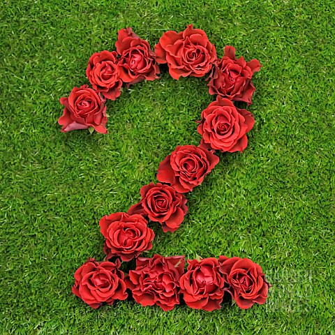 NUMBER_2_IN_RED_ROSES