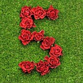 NUMBER 5 IN RED ROSES