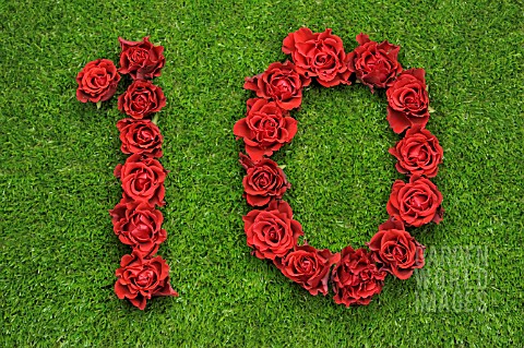 NUMBER_10_IN_RED_ROSES