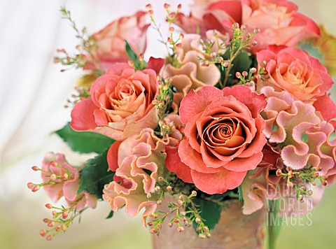 ROSES_AND_CELOSIA_FLOWER_ARRANGEMENT