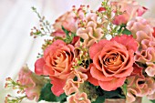 ROSES AND CELOSIA FLOWER ARRANGEMENT