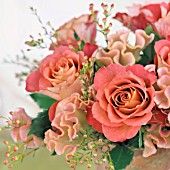 ROSES AND CELOSIA FLOWER ARRANGEMENT