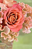 ROSES AND CELOSIA FLOWER ARRANGEMENT