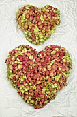 HEART OF HYDRANGEA FLOWERS