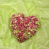 HEART OF HYDRANGEA FLOWERS