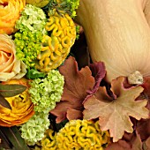 FLORAL & FRUIT AUTUMN ARRANGEMENT