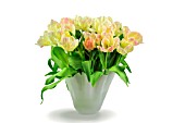 VASE OF TULIPS