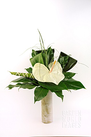 MODERN_BOUQUET