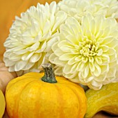 AUTUMN FLOWER ARRANGEMENT