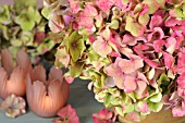 HYDRANGEA MACROPHYLLA BOUQUET