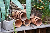 TERRACOTTA POTS IN A POTTING SHED