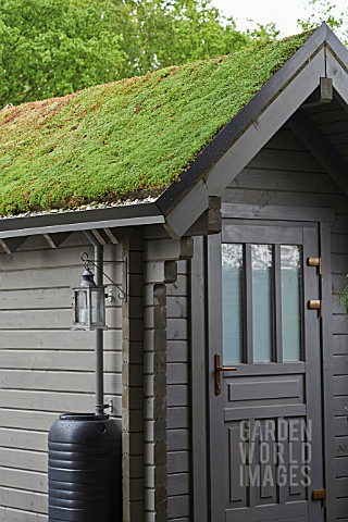 SUCCULENT_GREEN_ROOFING_ON_A_GARDEN_SHED
