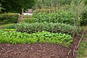 COTTAGE VEGETABLE GARDEN AT  ST FAGANS NATIONAL HISTORY MUSEUM