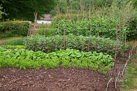 COTTAGE_VEGETABLE_GARDEN_AT__ST_FAGANS_NATIONAL_HISTORY_MUSEUM