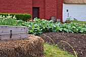 COTTAGE VEGETABLE GARDEN AT  ST FAGANS NATIONAL HISTORY MUSEUM