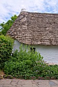 WHITE COTTAGE WITH THATCHED ROOF AND COTTAGE GARDEN.   NANT WALLTER COTTAGE IS BUILT OF CLAY OR MUD, KNOWN LOCALLY AS CLOM. THE CLAY WAS DUG ON THE SITE AND MIXED WITH STRAW, EARTH AND SMALL STONES AND THEN LAID IN LAYERS, WHICH HAD TO BE ALLOWED TO DRY FOR SEVERAL DAYS BEFORE THE NEXT ONE COULD BE ADDED.