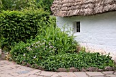 WHITE COTTAGE WITH THATCHED ROOF AND COTTAGE GARDEN.   NANT WALLTER COTTAGE IS BUILT OF CLAY OR MUD, KNOWN LOCALLY AS CLOM. THE CLAY WAS DUG ON THE SITE AND MIXED WITH STRAW, EARTH AND SMALL STONES AND THEN LAID IN LAYERS, WHICH HAD TO BE ALLOWED TO DRY FOR SEVERAL DAYS BEFORE THE NEXT ONE COULD BE ADDED.