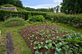 COTTAGE VEGETABLE GARDEN, WITH RAISED WOODEN VEGETABLE BEDS, PROTECTING AGAINST FROST. ST FAGANS NATIONAL HISTORY MUSEUM