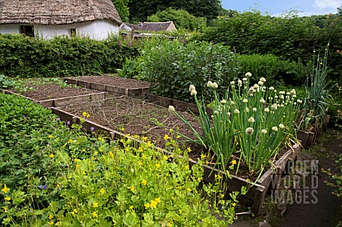 COTTAGE_VEGETABLE_GARDEN_WITH_RAISED_WOODEN_VEGETABLE_BEDS_PROTECTING_AGAINST_FROST_ST_FAGANS_NATION
