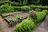 COTTAGE VEGETABLE GARDEN, WITH RAISED WOODEN VEGETABLE BEDS, PROTECTING AGAINST FROST. ST FAGANS NATIONAL HISTORY MUSEUM