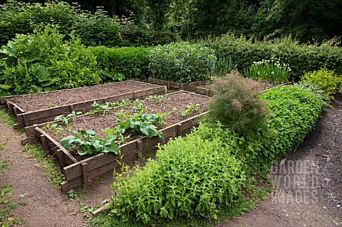COTTAGE_VEGETABLE_GARDEN_WITH_RAISED_WOODEN_VEGETABLE_BEDS_PROTECTING_AGAINST_FROST_ST_FAGANS_NATION
