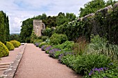 BORDERS AND TOPIARY ALONG THE FORMAL TERRACES AND WALLS. AT ST FAGANS CASTLE GARDENS