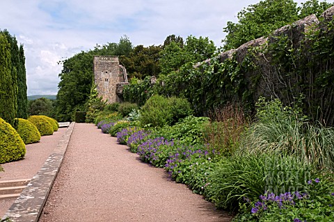 BORDERS_AND_TOPIARY_ALONG_THE_FORMAL_TERRACES_AND_WALLS_AT_ST_FAGANS_CASTLE_GARDENS