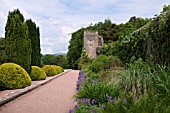 BORDERS AND TOPIARY ALONG THE FORMAL TERRACES AND WALLS. AT ST FAGANS CASTLE GARDENS