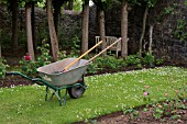 WHEELBARROW WITH GARDEN TOOLS ON A LAWN WITH DAISIES