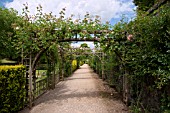 CLIMBING ROSE ARCHES - ST FAGANS CASTLE GARDENS